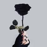 almosera - @almosera2 - Instagram