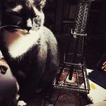 Al Mosier - @mosieral - Instagram
