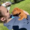 Aly Mosier - @alymosier - TikTok
