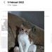 AL Much - Facebook