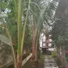 Almuneer - @almuneer.37 - TikTok
