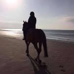 Alison Murdoch - @ali.murdoch61 - Instagram