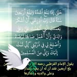 Osama Alnagy - @alnagyosama - Instagram