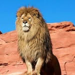 @alnaranjo1975 - Instagram