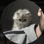 @al_nashmi71 - Instagram