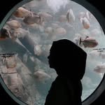@al.navad - Instagram