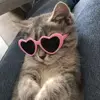 _Alnel_ - @_alnel_ - TikTok