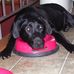Al Nelson - Facebook