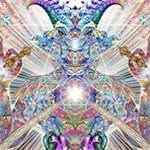 Alex NeSmith - @alexnesmith - Instagram