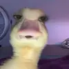 alenickle1 - @alenickle1 - TikTok
