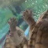 alnik - @alnik756 - TikTok