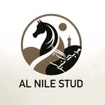 Al Nile Stud مربط ألنّيل - @alnilestud - Instagram