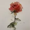 alnix - @xnaiw3 - TikTok