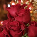 Alnofi.12 - @alnofi.12 - Instagram