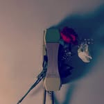 Omar alnofi - @alnofiomar - Instagram
