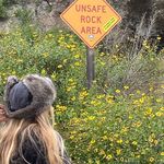 Ally - @ally_noyes - Instagram