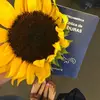 ale.nunez_24 - @ale.nunez_24 - TikTok