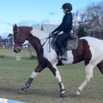 Alex Oakley - @eventing_horses_united - Instagram