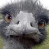 alochoa478 - @alochoa478 - TikTok