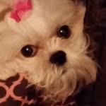 Allison C Lensgraf - @alogden1249 - Instagram