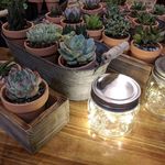 Kimberly Olmstead - @olmstead_originals - Instagram