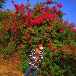 😎🅑🅔🅝🅤.. ⓚⓐ.𝙧𝙖𝙟𝙖🫂 - @alone__alpu - Instagram