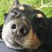 Allison Osborn - Facebook