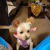 Al.Ozuna - Facebook