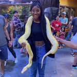 Al Palacio - @al.palacio.9 - Instagram