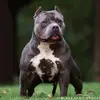 Al Palacio - @al.palacio6 - TikTok