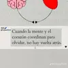alepalacios470 - @alepalacios470 - TikTok