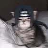 𝖆𝖑𝖕𝖆𝖗 - @alparrrrrpepengsut - TikTok