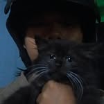 ael - @al.park3r - Instagram