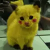 Al Parkes - @al.parkes6 - TikTok