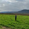 Alexandra Pastush967 - @al_past - TikTok