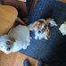 Al Pattison - Facebook