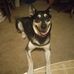 Al Paulson - Facebook