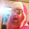 Al Paulson - @alpaulson - TikTok