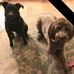 Alice Paxton - Facebook