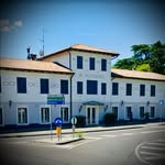 Pizzeria_alpellegrino - @pizzeria_alpellegrino - Instagram