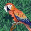 al penn - @al.penn22 - TikTok