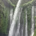 Albertchen - @alpenn - Instagram