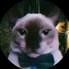 PennerAlt - @pennersalt - TikTok
