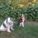 Al Pennington - @a.r.pstone - Instagram