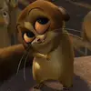 Preetuuuu - @penny_al - TikTok