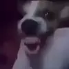 q cringe 😵‼️ - @alperritolediorisa - TikTok