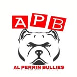 @al_perrin_bullies - Instagram