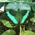 Alistair Perrin - @alperrin643 - Instagram