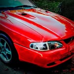 Al Peters - @al.peters.7 - Instagram