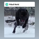 Al Peterson - @alpeterson70 - Instagram